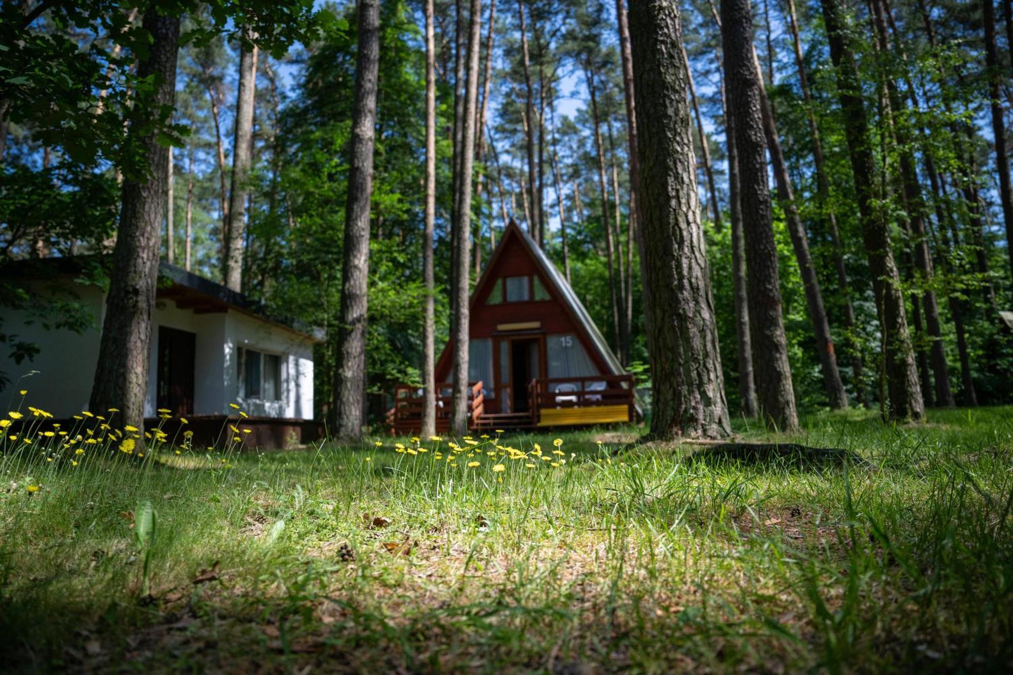 "Lesne Ustronie" Villa Byslaw Luaran gambar